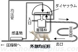 蒸発器出口配管の均圧管と感温筒の位置説明用の概略図